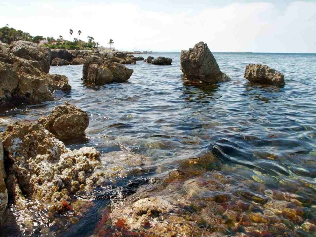 Playa punta negra