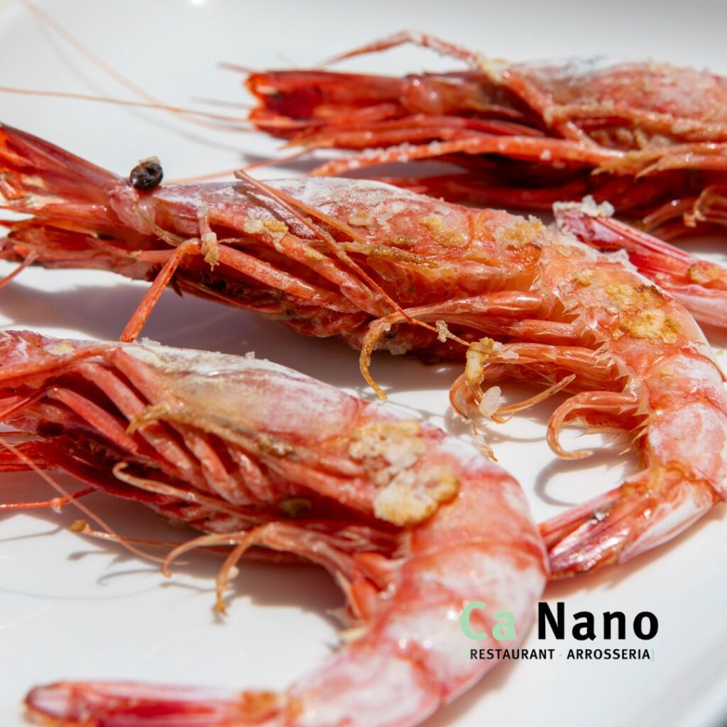 Dónde comer arroz en Denia I Los arroces más exquisitos de Dénia 2025 4 comer arroz en denia
