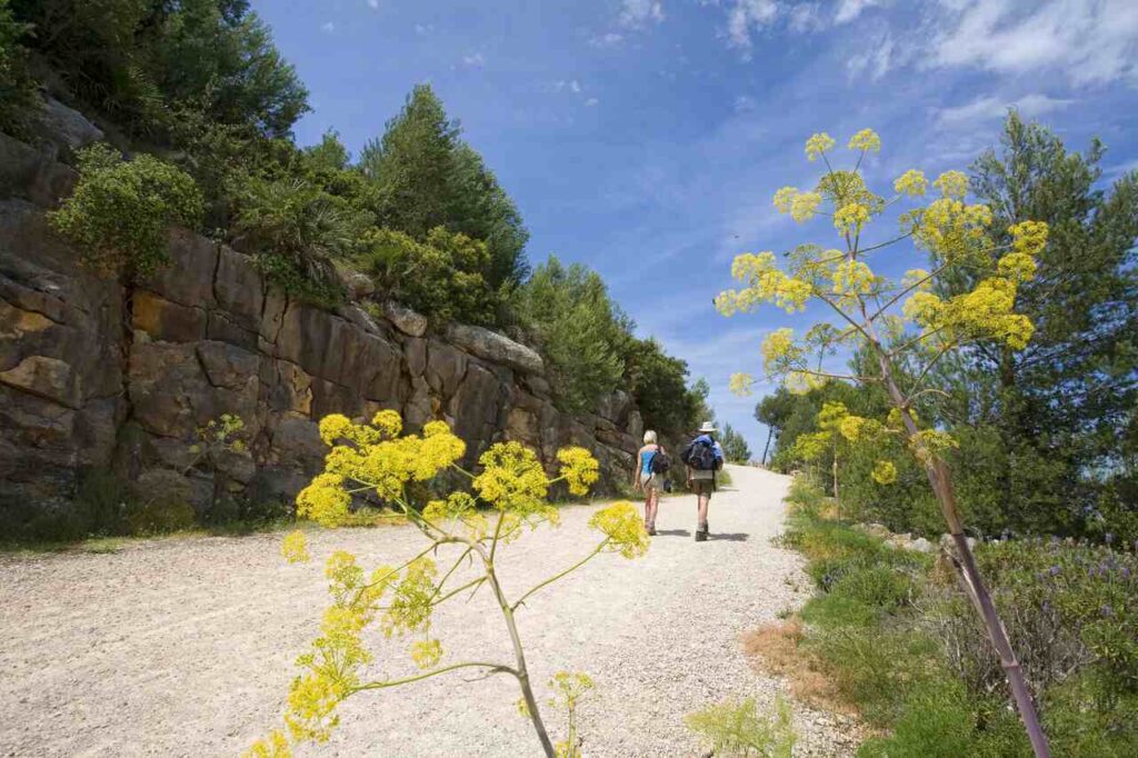 Descubre las Mejores Rutas de Senderismo en Dénia 2025 2 senderismo en Dénia