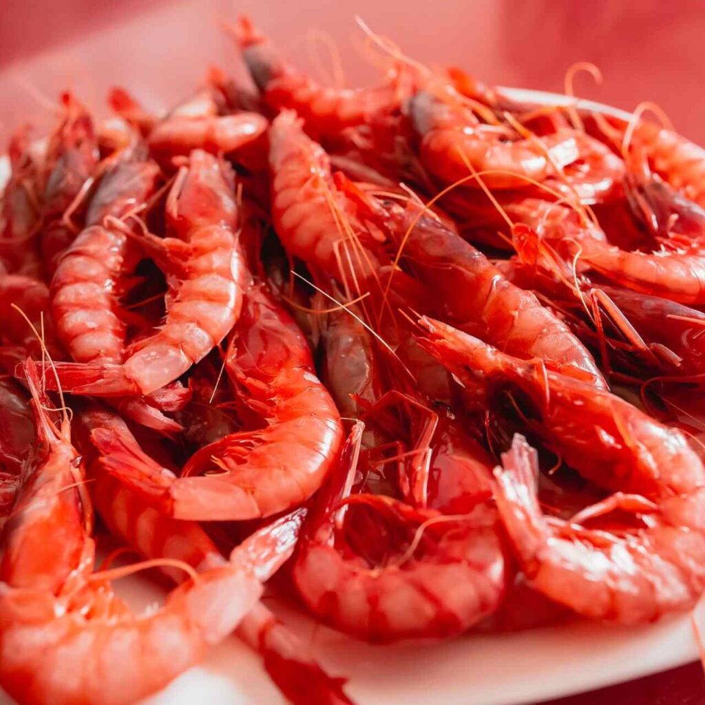 Descubre Dónde comer la gamba roja de Dénia 2025 4 Gamba roja de denia