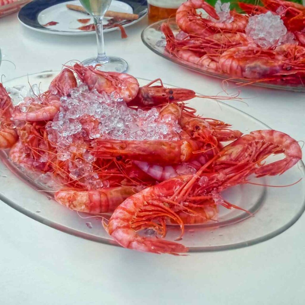 Descubre Dónde comer la gamba roja de Dénia 2025 2 Gamba roja de denia