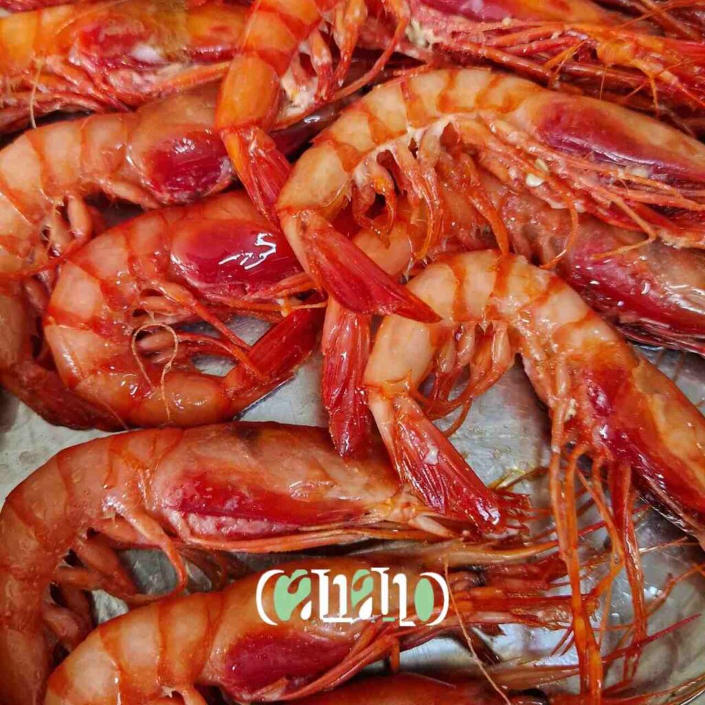 Gamba roja de denia