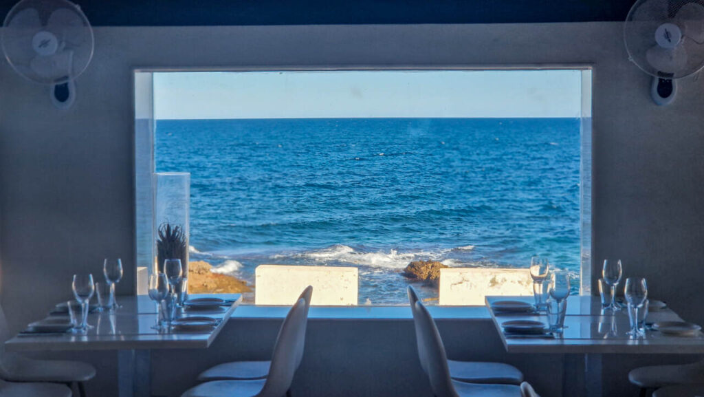 erizos de mar en denia