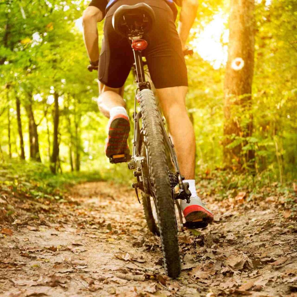 Rutas en Bici en Dénia