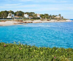 Restaurantes en Dénia 7 Primavera en denia