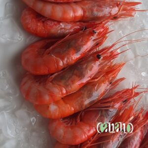 Restaurantes en Dénia 7 donde comer pescado fresco en denia