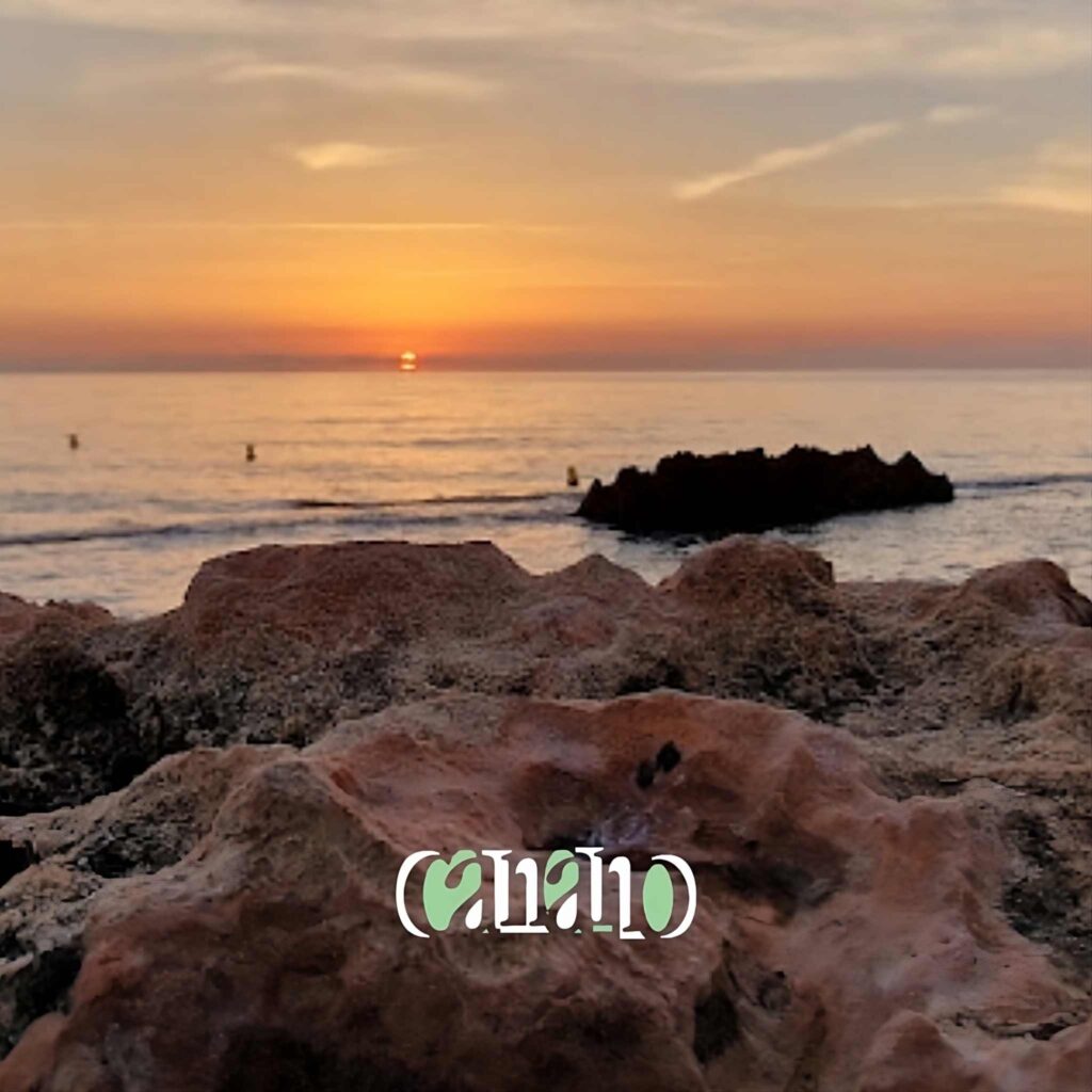 Cenar en Dénia I Los mejores restaurantes 2026 1 cenar en denia